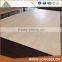 Cheap AA Grade 5.2mm Natural Red Oak Plywood