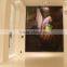 Decorative Laminated Glass Tempered Glass Wall Art Hanging