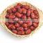 cheap grey jujube dried red dates xinjiang da zao ruoqiang dates