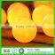 20mm Huamin High Quality Griding Balls