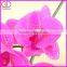 wholesale latex artificial flower purple phalaenopsis orchid