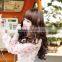 Heat Resistant Fibre Fashion Synthetic Wig Long