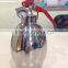 Small fire Extinguisher with stainless steel