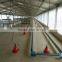 Professional automatical control poultry for egg chicken shed