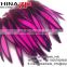 China ZP Crafts Factory wholesale Bulk Hot Pink Laced Hen Cape Guinea Feathers for sale