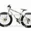 N28-FAT BIKE
