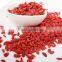 High quality dried raw goji berries