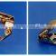 German Type Forged construction Swivel Coupler Scaffolding Coupler