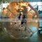 2016 human sized hamster ball/bumper ball forsale