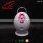 DIY Fruit Facial Sauna Ionic Facial Steamer with warm towel function