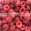 IQF Frozen raspberry