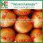 Chinese High Quality Pinghe Honey Pomelo with good services