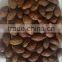 sterculia lychnophora, Malva Nut, Bold quality