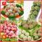 High quality!Meatball machine with low price/meatball making machine/meat ball machine