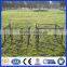 DM Metal Corral Horse Fence Panels For Sale