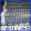 China Supplier ISO9001 Glavanized chain link fence