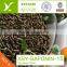 Natural Tea seed meal/powder/pellet