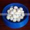 Cheaper price pigeon nest,bird nest plastic