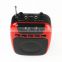 BOAS Waistband Wireless Microphone Special Amplifier for Guide Teacher External Voice Lound Speaker Support U Disk/TF Card