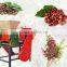 Neweek 300-500kg/h Cocoa Bean Huller Electric Coffee Bean Sheller Machine