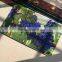 Purple Grapes Harvest Printed Non Woven Carpet