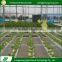 Latest style terrestrial plants industrial hydroponic greenhouse systems