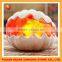 himalayan floor salt crystal lamp for home with wooden base design