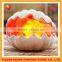 himalayan rock salt stone lamp importer for home decoration