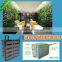 Factory Hot Sale Modular Green Wall System