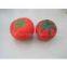 sponge foam toys