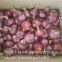 2017 New Crop 4.5cm Normal White Fresh Garlic 10kg Mesh Bag packing