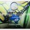 promotion custom design Acrylic keychain with pringting card inserted