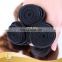 Hight Quality Wholesale unprocessed virgin brazilian hair three tone colors ombre loose wave