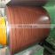 2019 Hot Sales Prepainted GI Steel Coil PPGI PPGL Color Coated Galvanized Steel Sheet In Coil