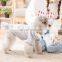 Wholesale Pet dog autumn Clothes Sweet dream Overcoat coat pajamas