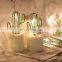 Christmas Outdoor Decorative LED Green Cactus String LED Lights Desert Fun Party Light