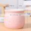 Coarse ceramic purple plastic small flower pot personality creative retro