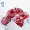 IQF Raspberry Whole Frozen
