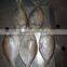 Frozen Whole Round Butterfish