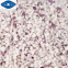 wholesales pure nature freeze dried purple onion dice