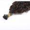 Brazilian human hair afro kinky curly colored curly i tip hair extensions kinky curly type                        
                                                                                Supplier's Choice