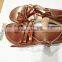 cute sandals for summer Women flat jesus sandal shoe brown leather and classic style