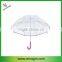 Stick Clear Dome Shaped Apollo Umbrella