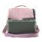New arrival disposable cooler bag for frozen food