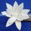 Flower for Decoration