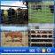 qunkun Heavy duty used livestock panels / cattle panels/ sheep panels