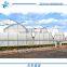 Hot saled cheap PE Plastic Film Greenhouse
