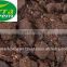 Neem Fertilizer Organic and Pure