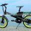 Seagull, low price electric bike with li-ion battery