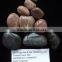 Polished river stone pebbles